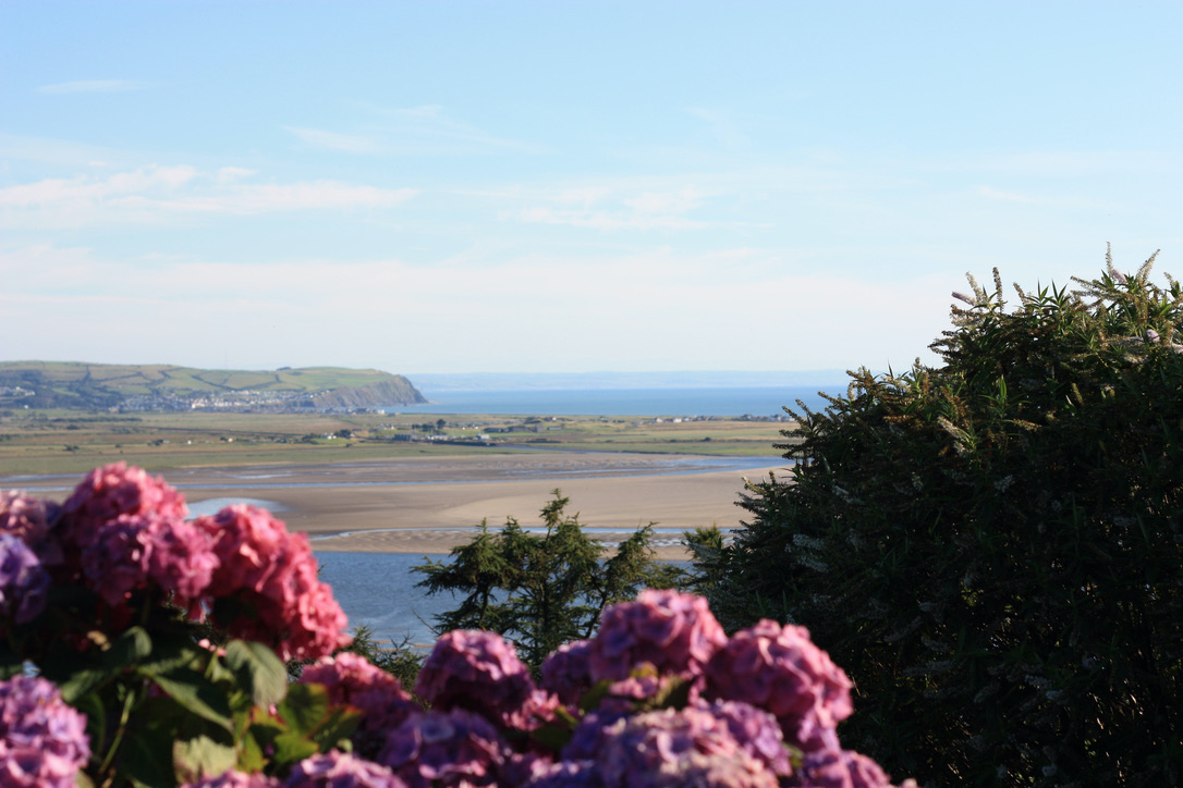 View across the Dyfi Estuary with pink hydrangeas
