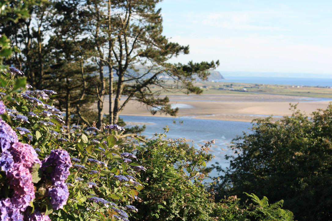 Dyfi Estuary view through the trees