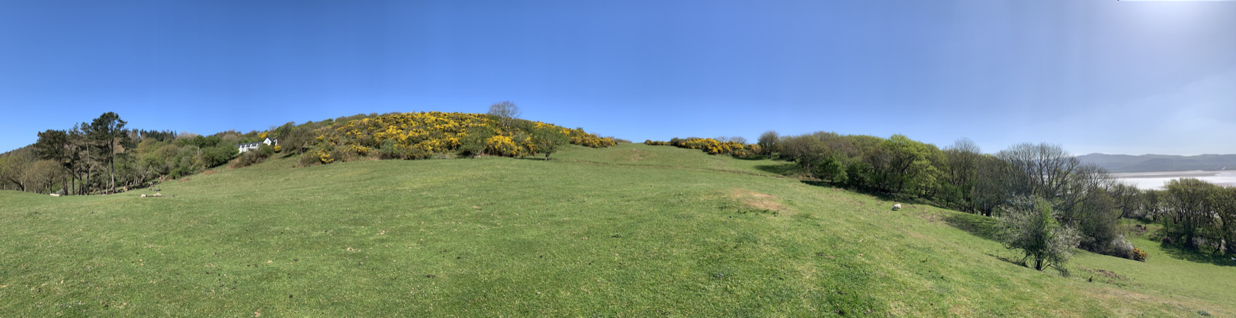 The fields around the house
