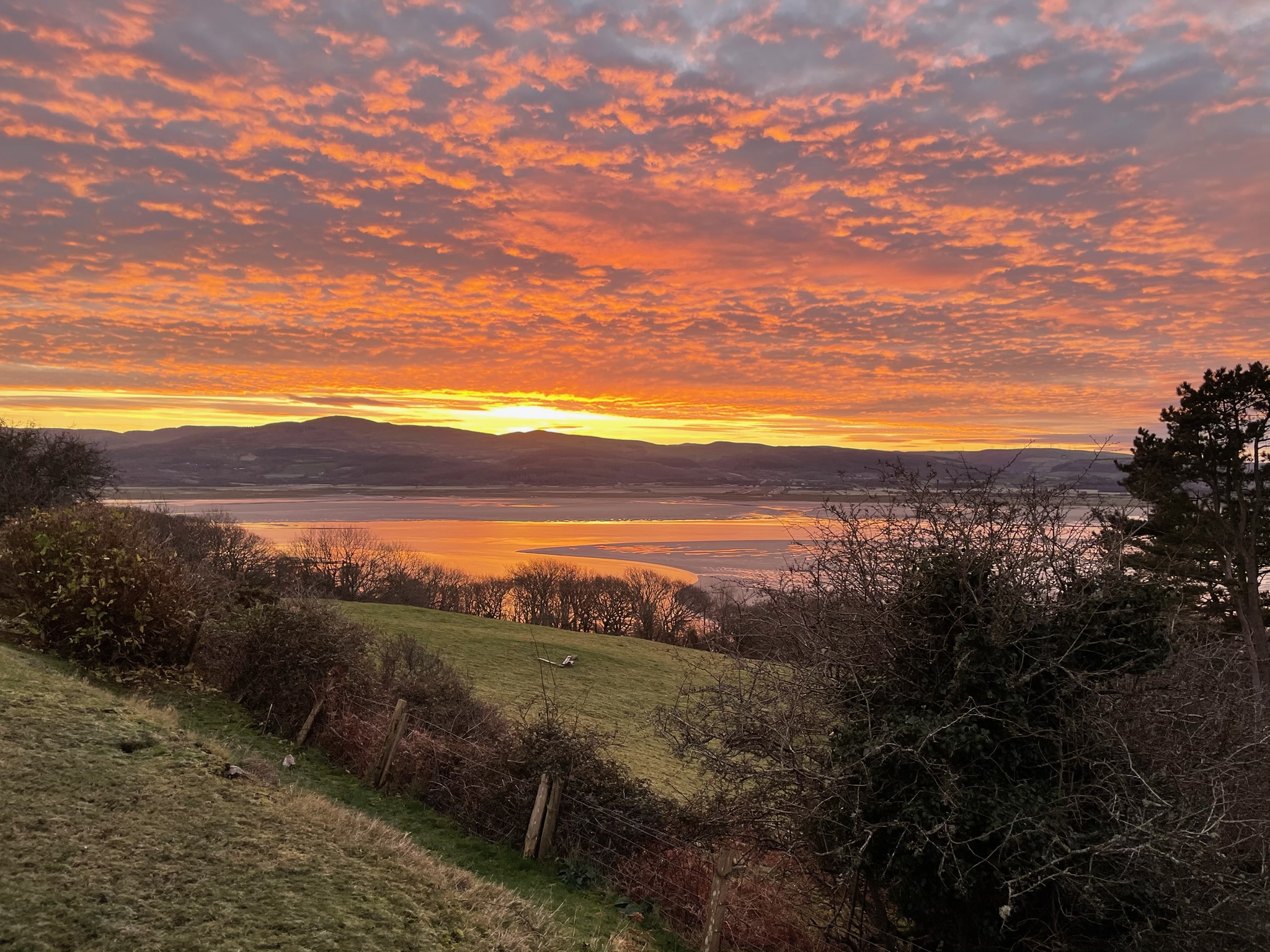 Golden sunset reflecting over the estuary